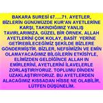 BAKARA SURESİ 67.......71. AYETLERDEN ALACAĞIMIZ DERSLER.