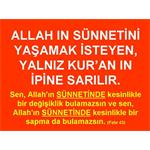 BU HATALARI YAPMAYA DEVAM ETTİĞİMİZ SÜRECE, ALLAH IN SÜNNETİNİ........