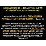 Bakara Suresi 56 Ve 243. Ayetleri Kur'an Bütünlüğünde, Nasıl Anlamalıy