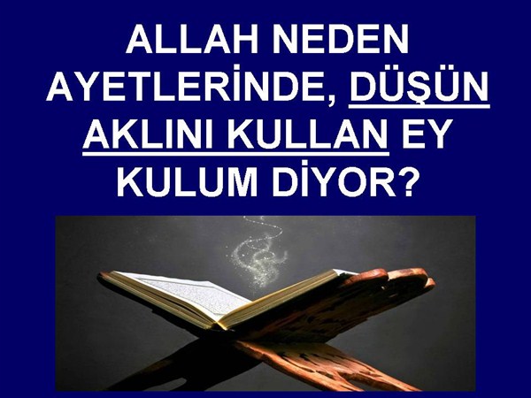 ALLAH AYETLERİNDE NEDEN DÜŞÜN, AKLINI KULLAN EY KULUM DİYOR OLABİLİR?