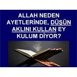 ALLAH AYETLERİNDE NEDEN DÜŞÜN, AKLINI KULLAN EY KULUM DİYOR OLABİLİR?