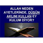 ALLAH AYETLERİNDE NEDEN DÜŞÜN, AKLINI KULLAN EY KULUM DİYOR OLABİLİR?