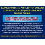 BAKARA SURESİ 165. AYETİ, LÜTFEN GÖZ ARDI ETMEYELİM.