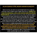 Allah Domuz Etini Neden Haram Kılmıştır?