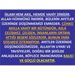 İSLAM HEM AKIL HEMDE VAHİY DİNİDİR.