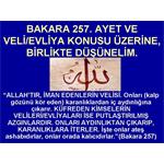 BAKARA SURESİ 257. AYET VE VELİ/EVLİ KONUSU ÜZERİNE........