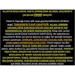 Allah’ın Resulünün, Görmezden Gelinen, Gizlenmeye Çalışılan ÜMMİ Gerçe