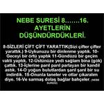 Nebe Suresi 8......16. Ayetlerin Düşündürdükleri.