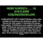 NEBE SURESİ 8......16. AYETLERİN DÜŞÜNDÜRDÜKLERİ.