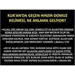 Kur'an’da Geçen Hınzır-Domuz Kelimesi, Ne Anlama Geliyor? 
