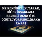 SİZ KENDİNİZİ UNUTARAK, DİĞER İNSANLARA ERDEMLİ OLMAYI MI ÖĞÜTLÜYORSUN