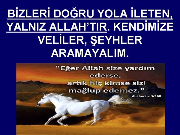 BİZLERİ DOĞRU YOLA İLETEN YALNIZ ALLAH TIR. KENDİMİZE VELİLER ........