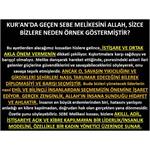 Kur'an'da Geçen Sebe Melikesini Allah, Sizce Bizlere Neden Örnek Göste