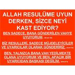 ALLAH RESULÜM E UYUN DERKEN, SİZCE NEYİ KAST EDİYOR?