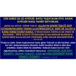 Cin Suresi 22-23 Ayetler. Batılı Yaşayalım Diye, Bakın Ayetleri Nasıl 