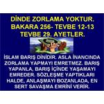 DİNDE ZORLAMA YOKTUR. BAKARA 256, TEVBE 29, TEVBE 12-13. AYETLER.