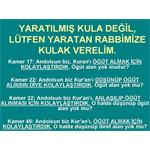 KUR'AN I HERKESİN ANLAYAMAYACAĞI BİR KİTAP İLAN ETTİK. KAMER SURESİ 17