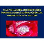 RESULÜN EŞLERİNE HİTABEN İNDİRİLEN, AYETLER ÜZERİNDE DÜŞÜNELİM