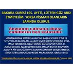 BAKARA SURESİ 165. AYETİ, LÜTFEN GÖZ ARDI ETMEYELİM.