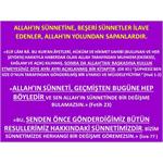 Allah'ın Sünnetine, Beşeri Sünnetler İlave Edenler, Allah'ın Yolundan 
