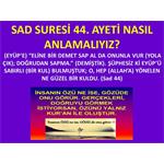 Sad Suresi 44. Ayeti Nasıl Anlamalıyız?