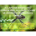 ALLAH DAN BAŞKA VELİLER EDİNENLERE, ALLAH IN İKAZI.