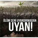 AYETLERİ ANLAMAYA ÇALIŞIRKEN YAPTIĞIMIZ YANLIŞLAR.