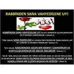 Rabbinden Sana Vahyedilene Uy.